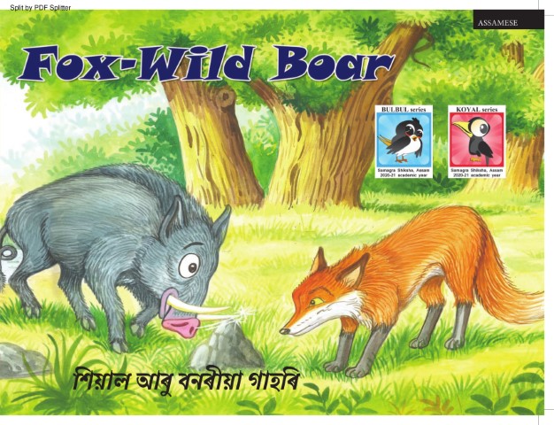 Fox - Wild Boar